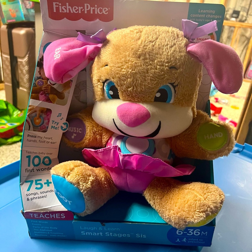 Fisher price smart stages sis
